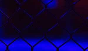 Exciting UFC Updates and Events